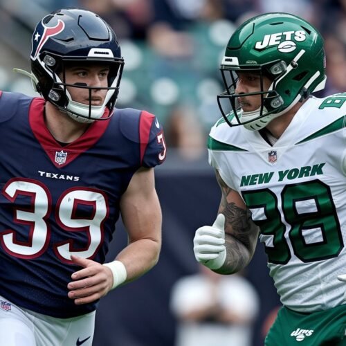 Houston Texans vs New York Jets Match Player Stats
